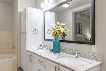 Double sink vanity in bathrooms*